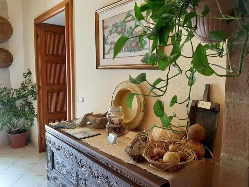 B&B Domus Deiana Mamoiada Ngoại thất bức ảnh