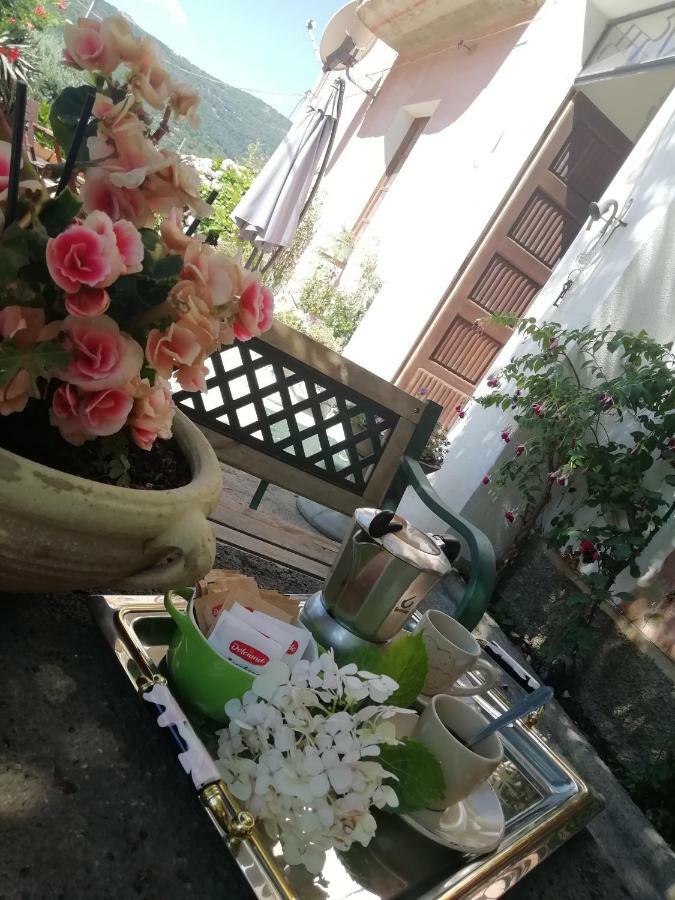 B&B Domus Deiana Mamoiada Ngoại thất bức ảnh